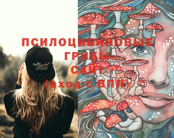 apvp Белоозёрский