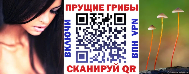 darknet состав  где найти   Окуловка  Галлюциногенные грибы прущие грибы 